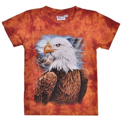 Детская футболка Орёл (Rock Eagle,Tie Dye)