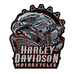 Нашивка наспинна Harley-Davidson (шестеренка) Нашивка наспинна Harley-Davidson (шестеренка)