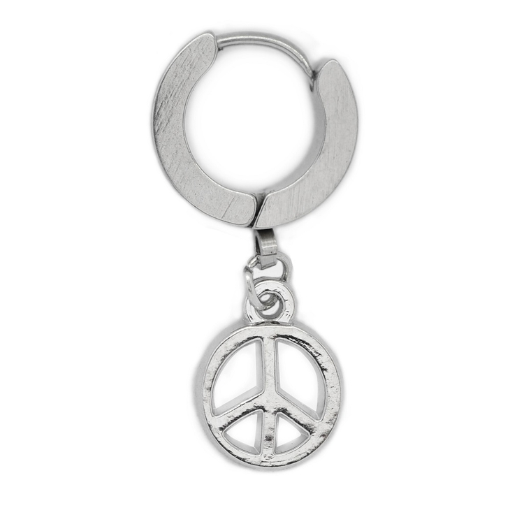 Сережка з підвіскою Пацифік (хірургічна сталь, колір сталевий) (еа-065) Сережка з підвіскою Пацифік (хірургічна сталь, колір сталевий) (еа-065)