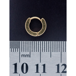 Серьга (хир.сталь, золотой) (ea-018)