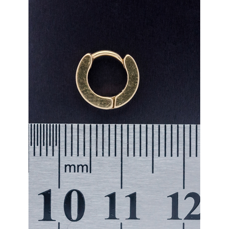 Сережка (хір.сталь, золотий) (ea-018) Сережка (хір.сталь, золотий) (ea-018)