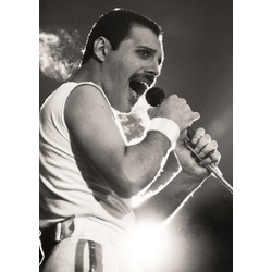 Плакат Freddie Mercury