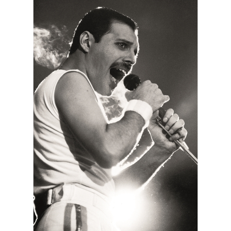 Плакат Freddie Mercury Плакат Freddie Mercury