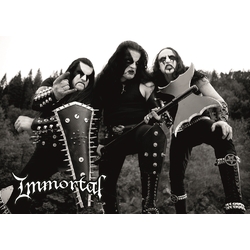 Плакат Immortal