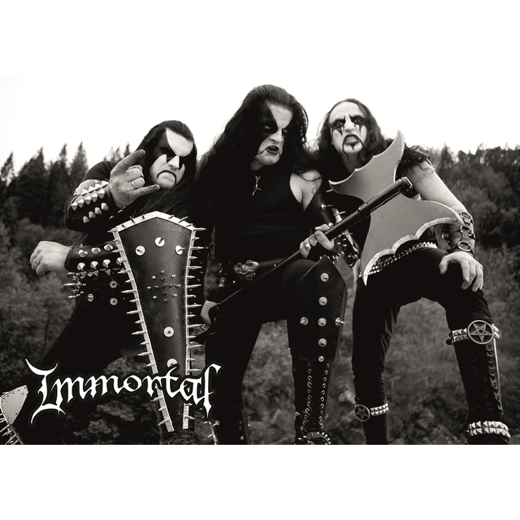 Плакат Immortal Плакат Immortal