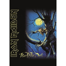 Плакат Iron Maiden Fear of the Dark Плакат Iron Maiden Fear of the Dark