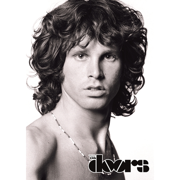 Плакат The Doors Плакат The Doors