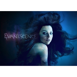 Плакат Evanescence
