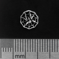 (sn-012) Сережка-гвоздик Павук на павутині (срібло, 925 проба)