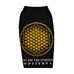 Шорти Bring Me The Horizon "Sempiternal" (yellow) Шорти Bring Me The Horizon "Sempiternal" (yellow)