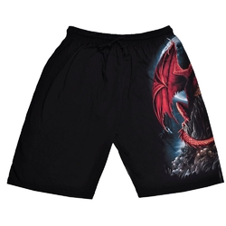 Шорти Дракон на скелі