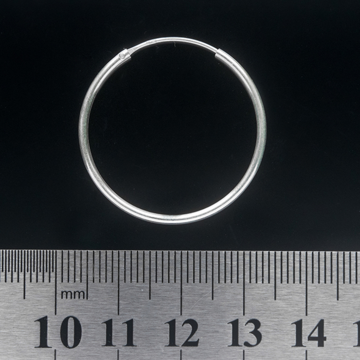 Сережка, кільце велике (eas-061) Сережка, кільце велике (eas-061)