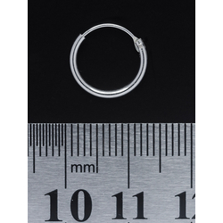 Сережка, кільце (eas-002) Сережка, кільце (eas-002)