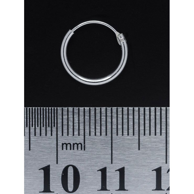 Сережка, кільце (eas-002)