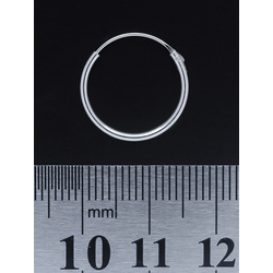 Серьга, кольцо (eas-004)