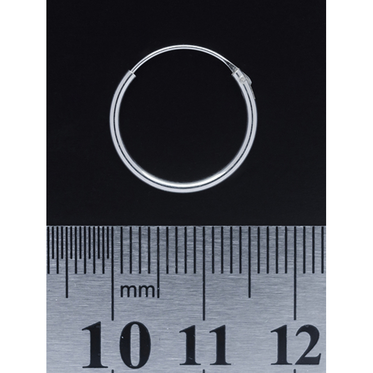 Серьга, кольцо (eas-004)