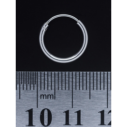 Серьга, кольцо утолщенное (eas-005)