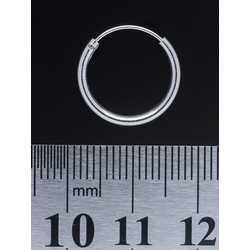 Серьга, кольцо утолщенное (eas-006)