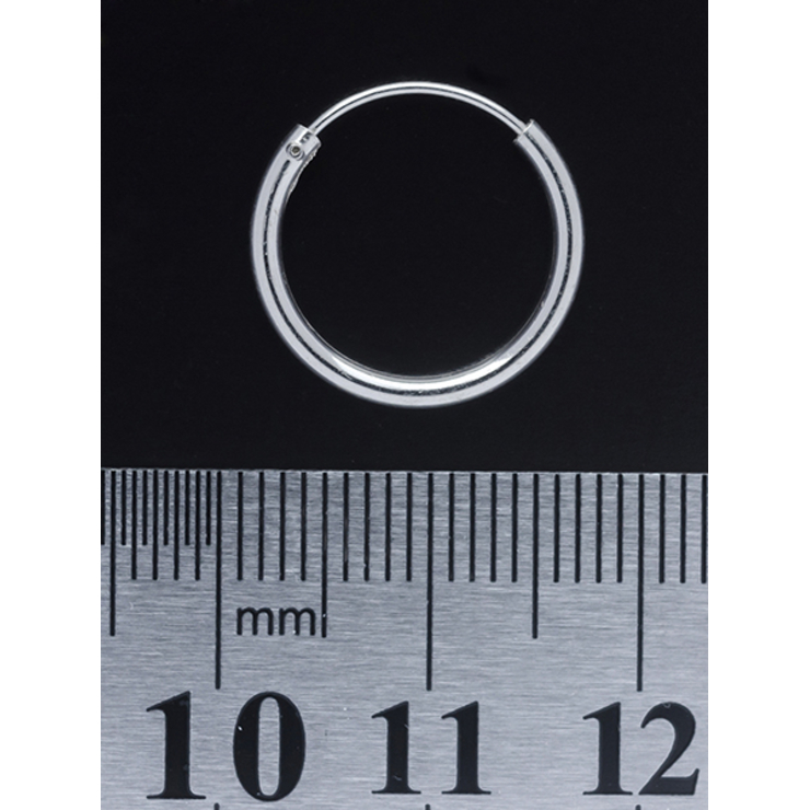 Серьга, кольцо утолщенное (eas-006) Серьга, кольцо утолщенное (eas-006)