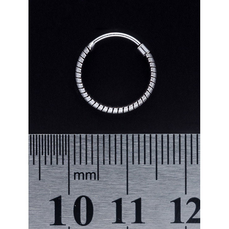 Серьга, кольцо с узором (eas-023)