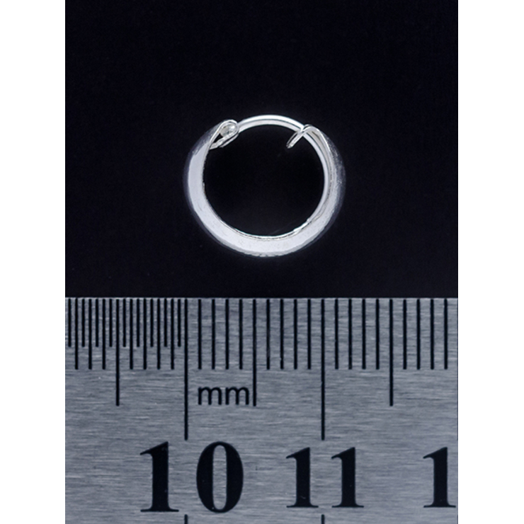 Сережка, кільце піратське (eas-031) Сережка, кільце піратське (eas-031)