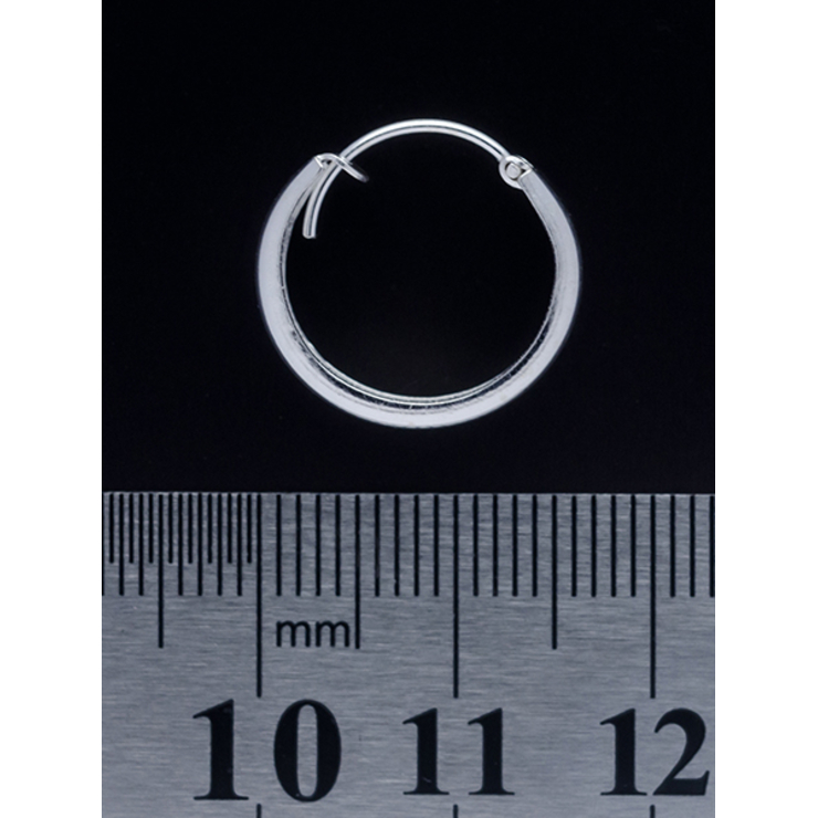 Серьга, кольцо пиратское (eas-037) Серьга, кольцо пиратское (eas-037)