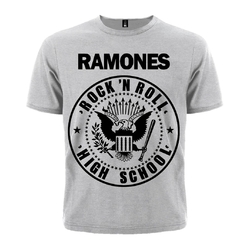 Футболка Ramones "Rock'n'Roll" (меланж)