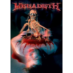 Плакат Megadeth (The World Needs a Hero)