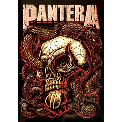 Плакат Pantera (Skull CFH)