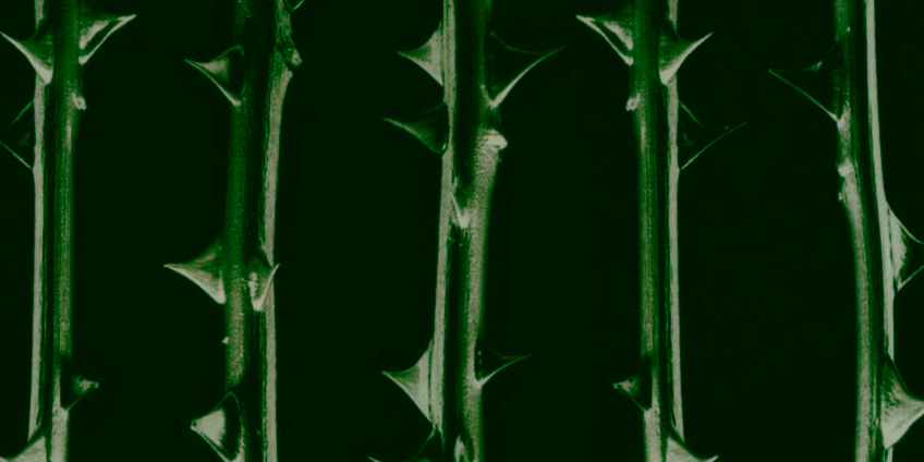 Type O Negative
